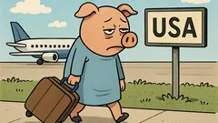 Skämt: Det var en trött gris i USA